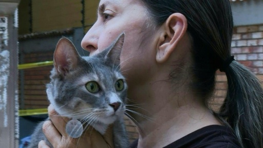 'It's a dream come true': Colombian woman reunited with cat rescued from earthquake rubble