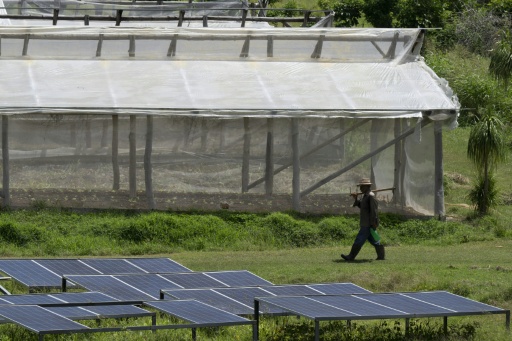 Un agricultor camina entre un conjunto de paneles solares y un invernadero en la finca agroturística La Burgambilia, en Caimito, provincia de Artemisa, Cuba, el 25 de junio de 2026. — Pablo PORCIUNCULA / AFP
