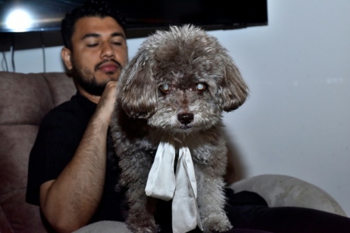 Colombian woman dies saving dog from earthquake