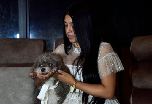 Six days after the quake, many pet owners still held onto hope that their missing animals would be found alive — Franklin Ruiz / AFP