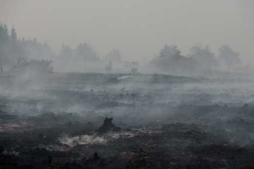 Belgium fire makes 'limited' spread overnight, more help on way