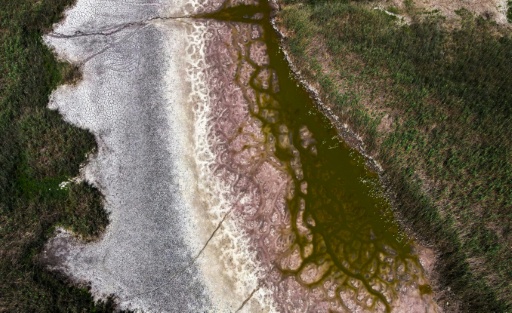 Experts have blamed Lake Velence's drying-up on both climate change-bolstered droughts and bad policies — STR / AFP