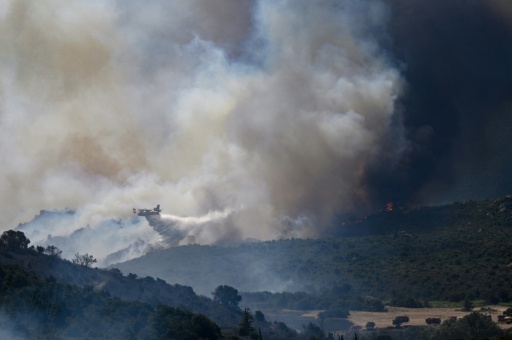Waldbrände in mehreren Ländern Südeuropas: Lage in Südfrankreich besonders angespannt