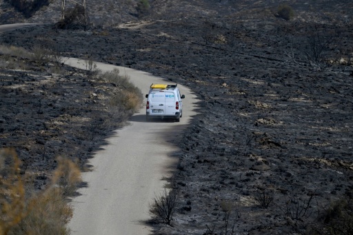 Une voiture roule dans un paysage calciné après un incendie de forêt ayant fait au moins 12 morts, à Bedar, près d'Almería, le 11 juillet 2026