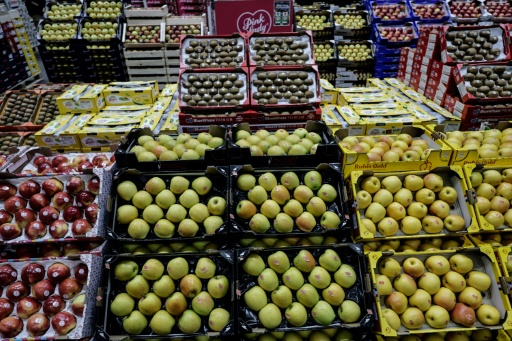 La récolte de pommes devrait être réduite d'environ 20% par rapport à 2025 — STEPHANE DE SAKUTIN / AFP