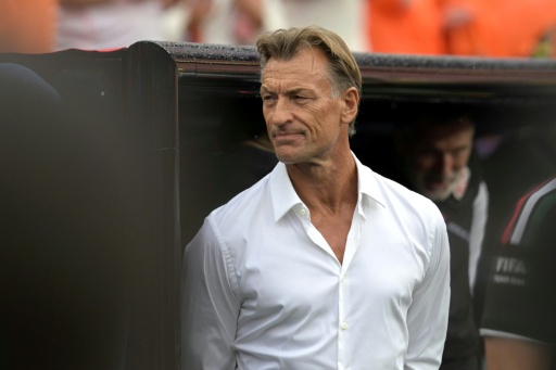Costa de Marfil nombra al francés Hervé Renard como seleccionador
