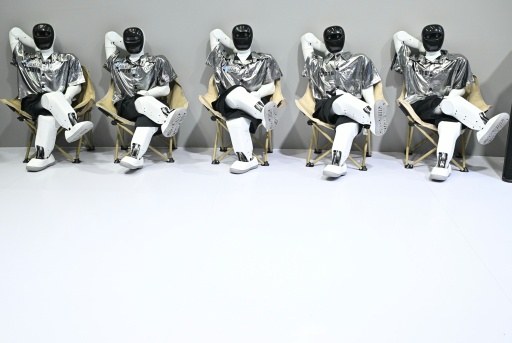 World Robot Conference