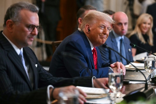 L'émissaire américain Massad Boulos (g) et le président américain Donald Trump lors d'une réunion à la Maison Blanche,le 9 juillet 2025 à Washington — Jim WATSON / AFP