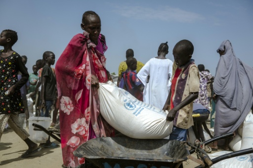 لجنة أممية تتخوف من أن تؤدي انتخابات جنوب السودان إلى تحفيز العنف