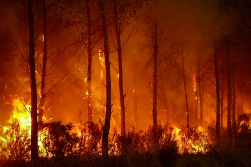 The blaze has since Wednesday last week ravaged 42,000 hectares of pine forest -- an area larger than Detroit — ROMAIN PERROCHEAU / AFP