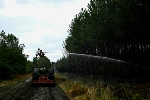 Volunteer farmers have been helping out — Philippe Lopez / AFP