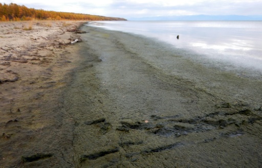 Une photo de presse prise le 23 septembre 2017 et fournie par Oleg Timoshkin, biologiste à l'Institut de limnologie de l'Académie russe des sciences à Irkoutsk, montre les rives du lac Baïkal, dans le sud de la Sibérie orientale, en Russie — Oleg TIMOSHKIN / AFP