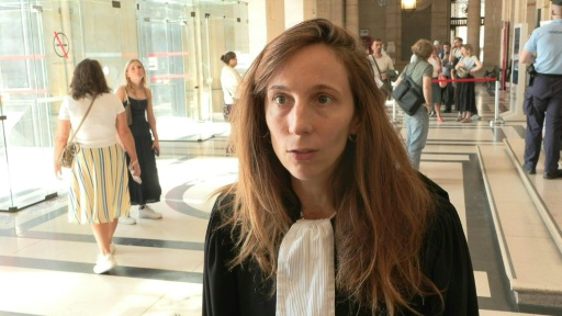 Aveux de Cédric Jubillar: un "énorme soulagement" (avocate des parties civiles)