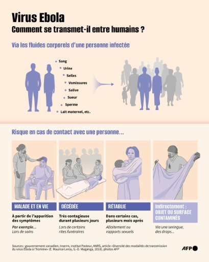 Présentation des modes de transmission entre humains du virus Ebola, qui peut aussi être transmis des animaux aux humains