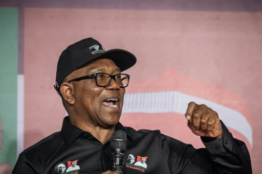 L'ancien gouverneur Peter Obi prend la parole après avoir été désigné candidat officiel du Congrès démocratique du Nigeria (NDC) à la présidentielle, à Abuja, le 30 mai 2026 — Light Oriye Tamunotonye / AFP