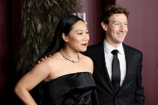 Zuckerberg buys Gothic castle in Ireland: spokesman