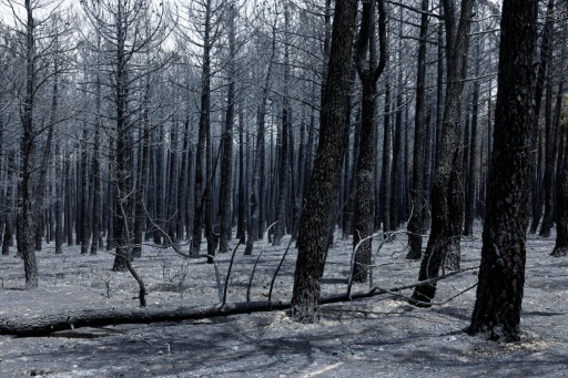 'O fogo te devora', diz morador evacuado pelo incêndio sem precedentes perto de Madri