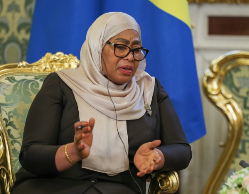 Tanzania's President Samia Suluhu Hassan is accused of brutal repression of political opponents