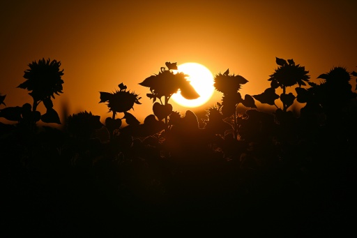 Sol