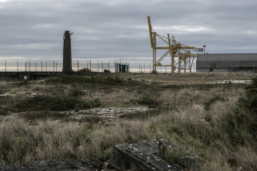 Feu vert à un projet contesté de mégaferme terrestre à saumons