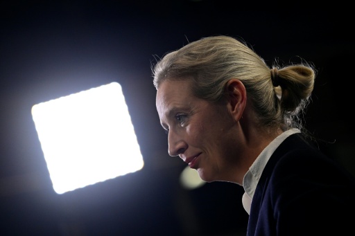 AfD-Parteitag geht mit Reden von Weidel und Chrupalla zu Ende
