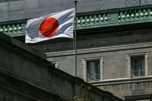 Japan outlaws flag desecration despite critics