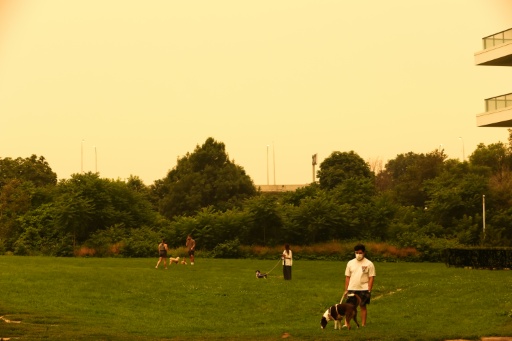 Des habitants promènent leurs chiens dans un parc du centre-ville de Toronto envahi par la fumée des feux de forêt en Ontario, le 15 juillet 2026 au Canada — Cole BURSTON / AFP