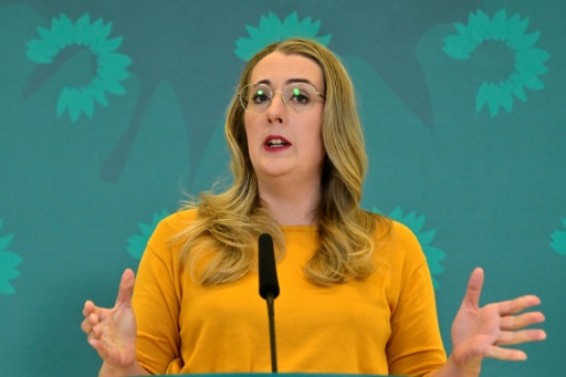 Krankenkassenbeiträge: Grüne wollen Absetzung der Abstimmung zu Reform beantragen