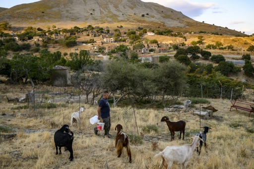 Yorgi Baki worked in Athens for years before returning to Gokceada when he retired. Today in his mid-60s, he is now a shepherd — Yasin AKGUL / AFP