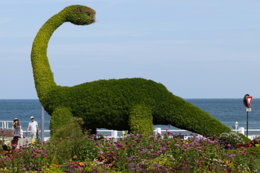 - Dinosaure -