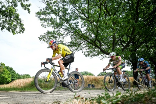 Wout Van Aert (à gauche) a terminé deuxième des championnats de Belgique de gravel le 16 août 2026, confirmant sa capacité à briller sur tous les terrains et tous les vélos — ELIAS ROM / AFP