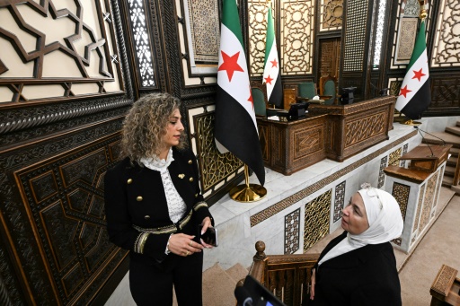 ممثلة وأكاديمية وروائية ومنقّبة في أول برلمان سوري بعد سقوط الأسد