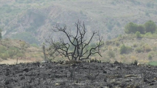 The inland but rugged area is popular with foreigners