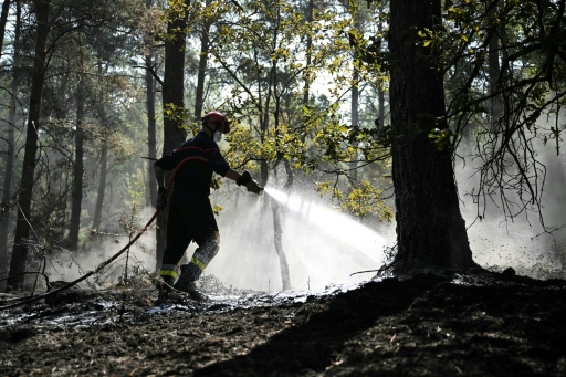 Un pompier arrose le sous-bois lors d'un incendie dans la forêt de Fontainebleau, à Noisy-sur-École, le 16 juillet 2026 en Seine-et-Marne — LOU BENOIST / AFP
