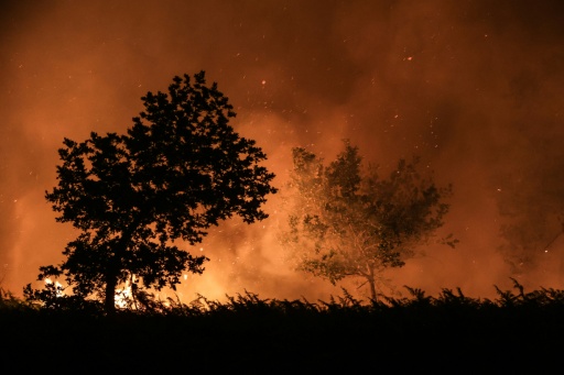 Un incendie entre les communes de Landiras et Guillos, en Gironde, le 13 juillet 2022 — Thibaud MORITZ / AFP