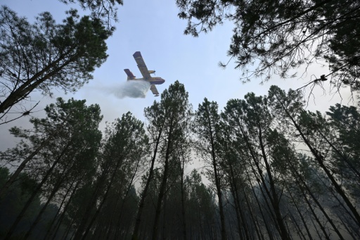 Los incendios forestales no dan tregua en Europa