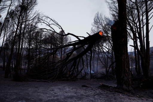 - Incandescent -