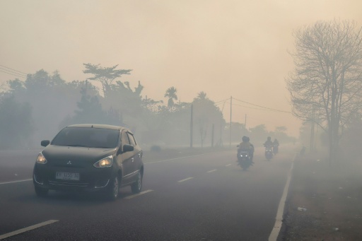 Indonesia lost some 200,000 hectares of land to wildfires in the first half of the year — REINA / AFP