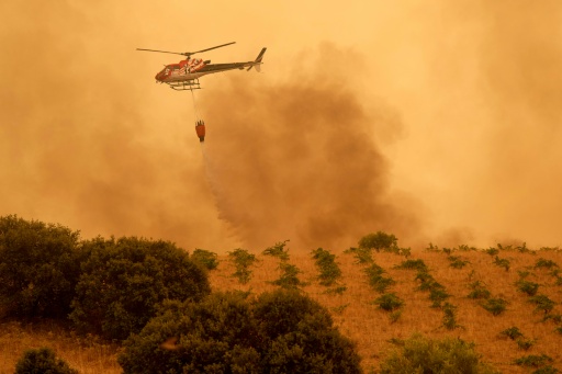 Spain, fighting uncontrollable wildfires near Madrid, has declared a national emergency — Cesar MANSO / AFP