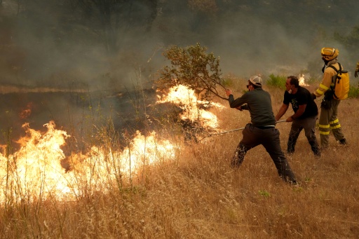 Residents have been helping firefighters battle blazes near Madrid — Cesar MANSO / AFP