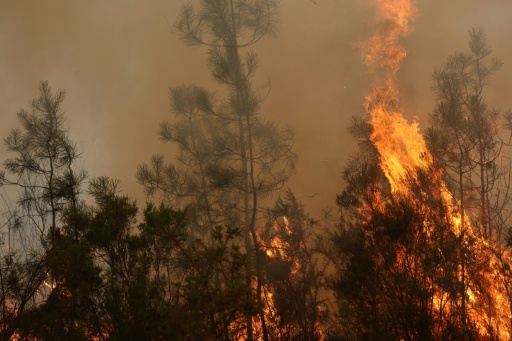 El fuego asedia Burdeos y sigue sin control en España