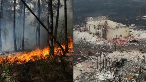 Incendios que arrasan España y Francia siguen sin control y fuerzan evacuaciones masivas — Cesar MANSO, David Genovés, Florian PLAUCHEUR, Ignacio OLVEIRA / AFP