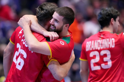 Handball: Costa-Brüder wechseln nach Flensburg