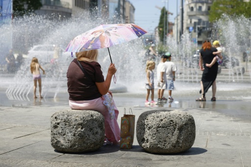 The largest share of heat-related deaths occurred in the over-75 age group — Michaela STACHE / AFP
