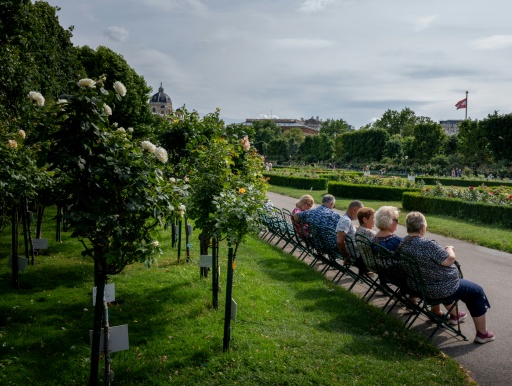 Vienna has consistently ranked among the world's best cities to live in