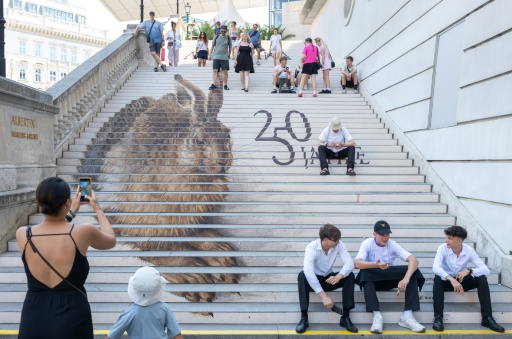 Visitors in front of Vienna's Albertina museum, one of many in the Austrian capital