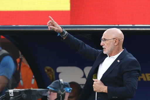 'Acompanhar estes jogadores é uma honra', diz Luis de la Fuente após título da Espanha