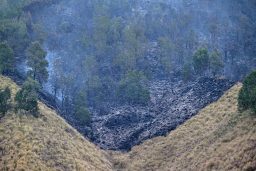 Indonesia is forecast to experience a long, intense dry season this year with high risk for drought and wildfires — JUNI KRISWANTO / AFP