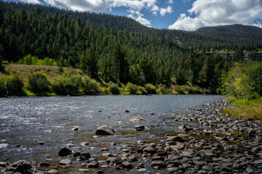US moves to open vast tracts of pristine forests to logging