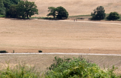 England, Wales had driest July on record: Met Office